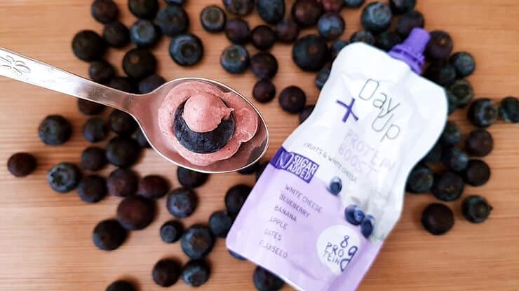 Day Up Protein Boost blueberry - wygląd produktu z borówkami